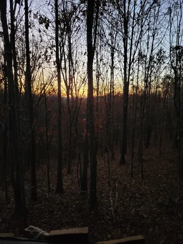 $1,450,000 | 0 Taylors Store Road, Hampshire, TN 38461