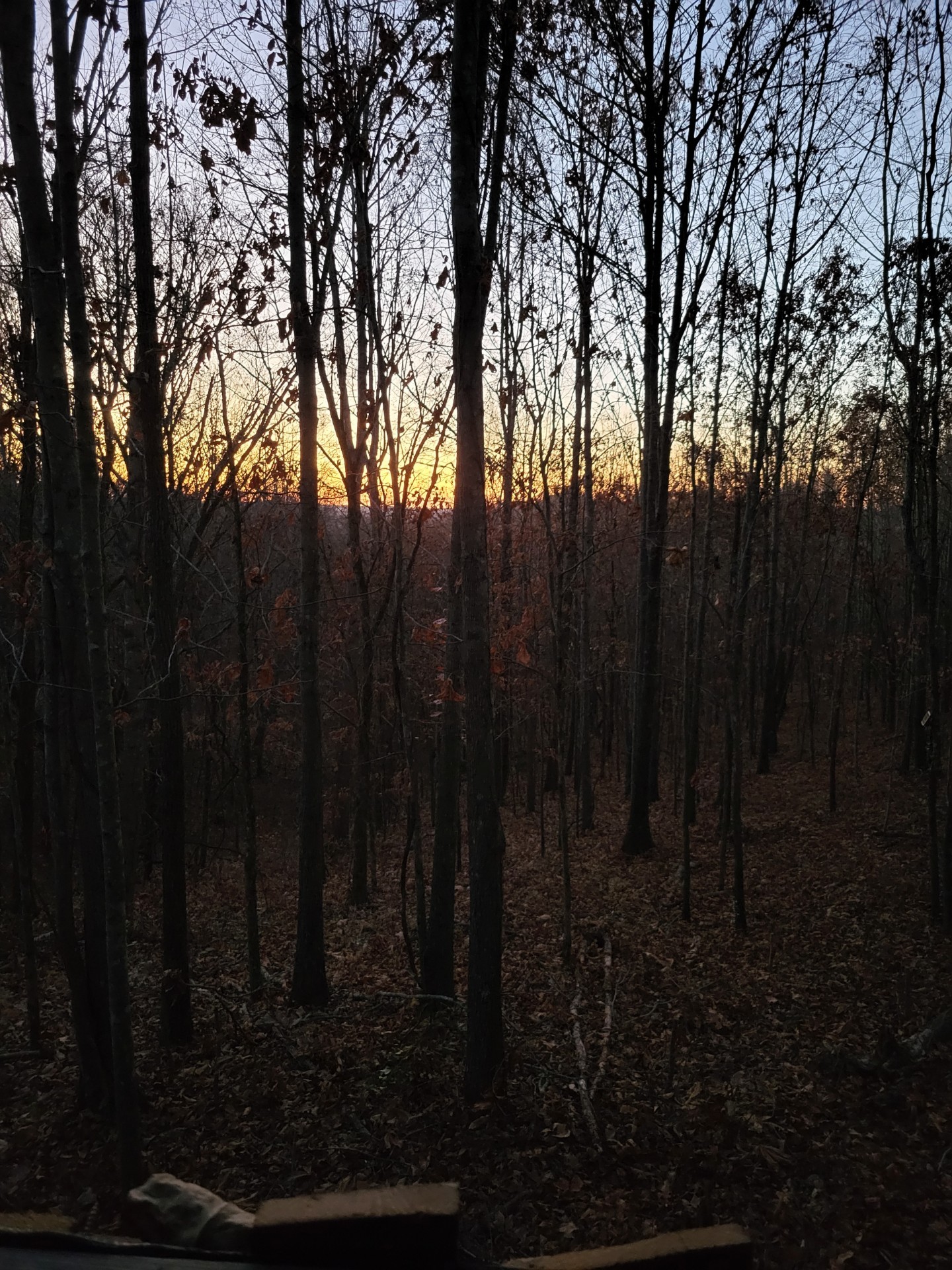 0 Taylors Store Road Hampshire, TN 38461 - Photo 35 of 44