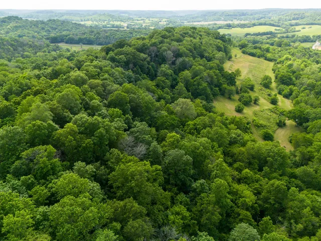 $1,450,000 | 0 Taylors Store Road, Hampshire, TN 38461