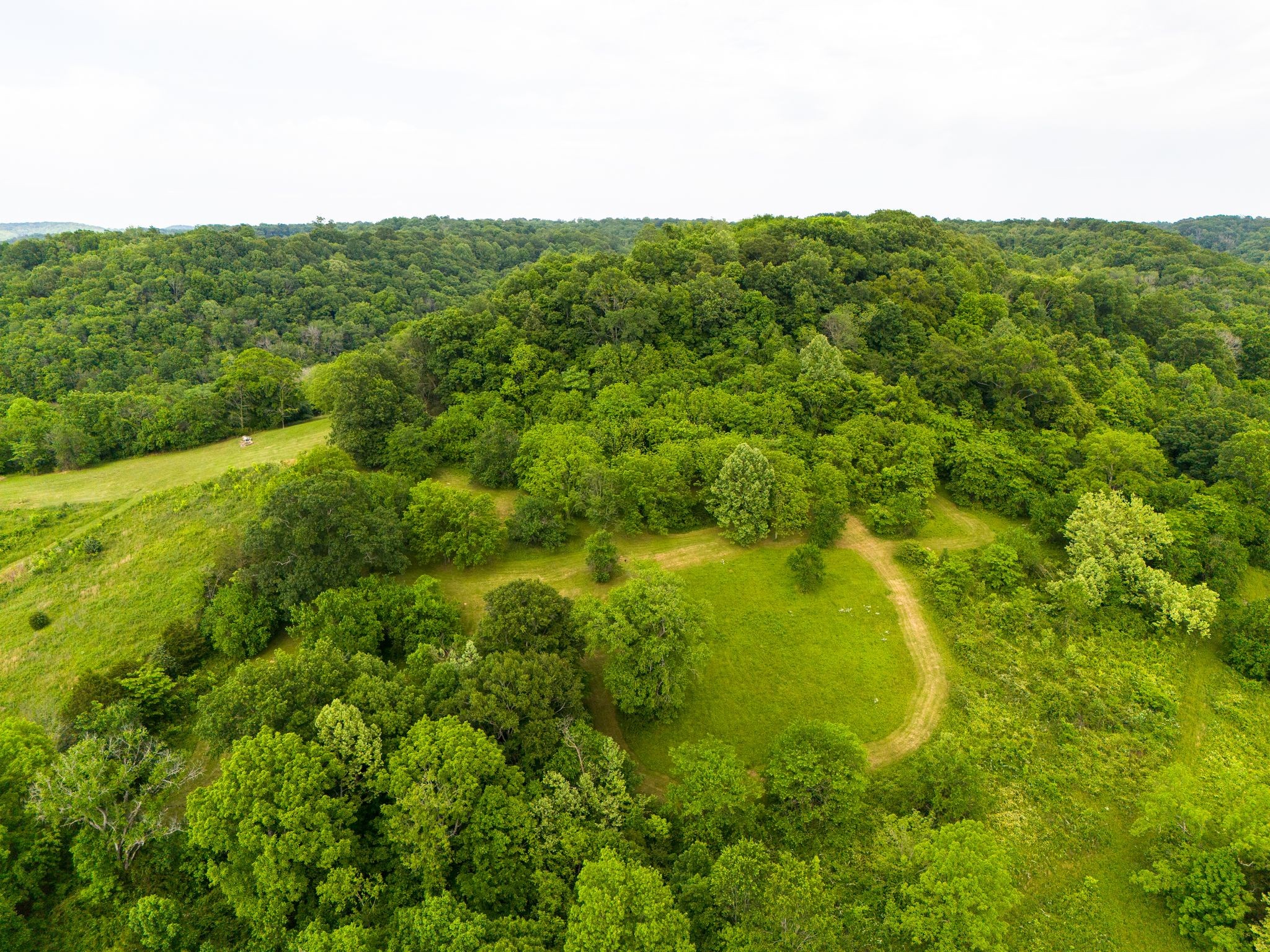 0 Taylors Store Road Hampshire, TN 38461 - Photo 39 of 44