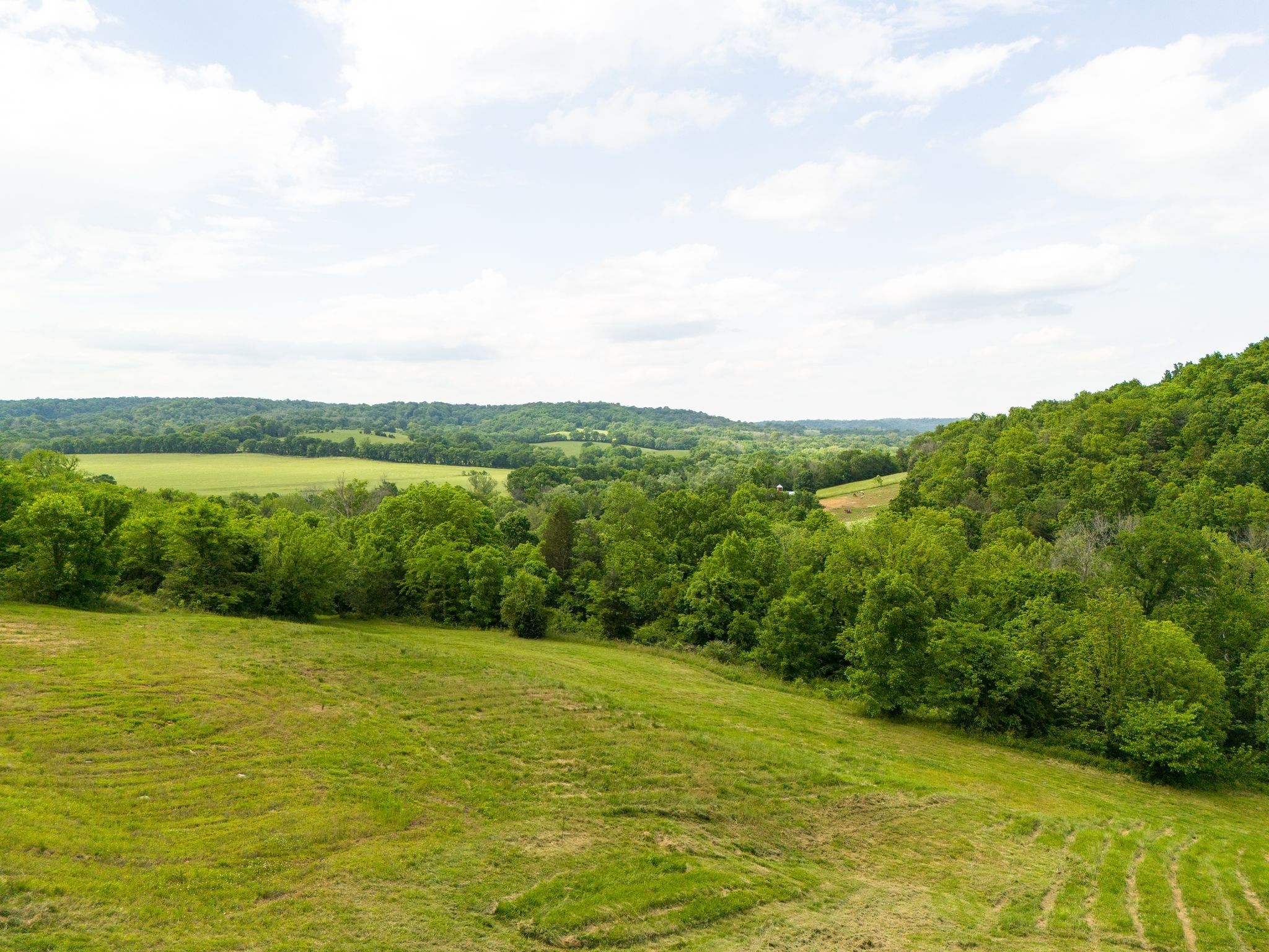 0 Taylors Store Road Hampshire, TN 38461 - Photo 43 of 44