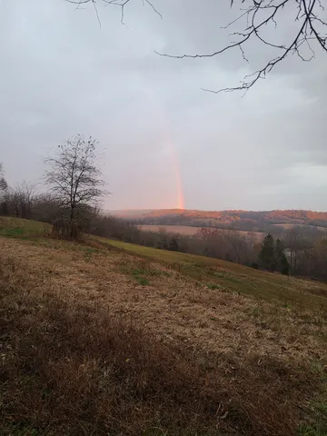 $1,450,000 | 0 Taylors Store Road, Hampshire, TN 38461