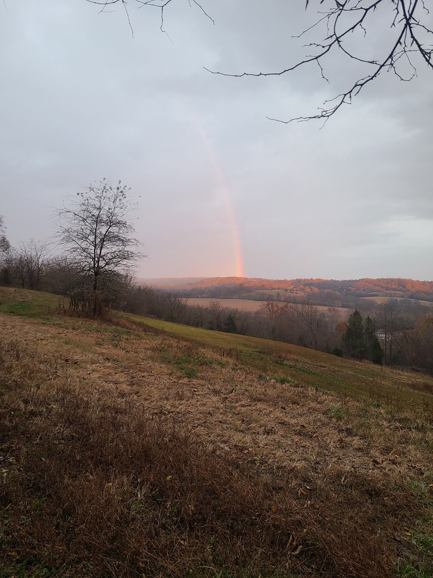 0 Taylors Store Road Hampshire, TN 38461 - Photo 44 of 44