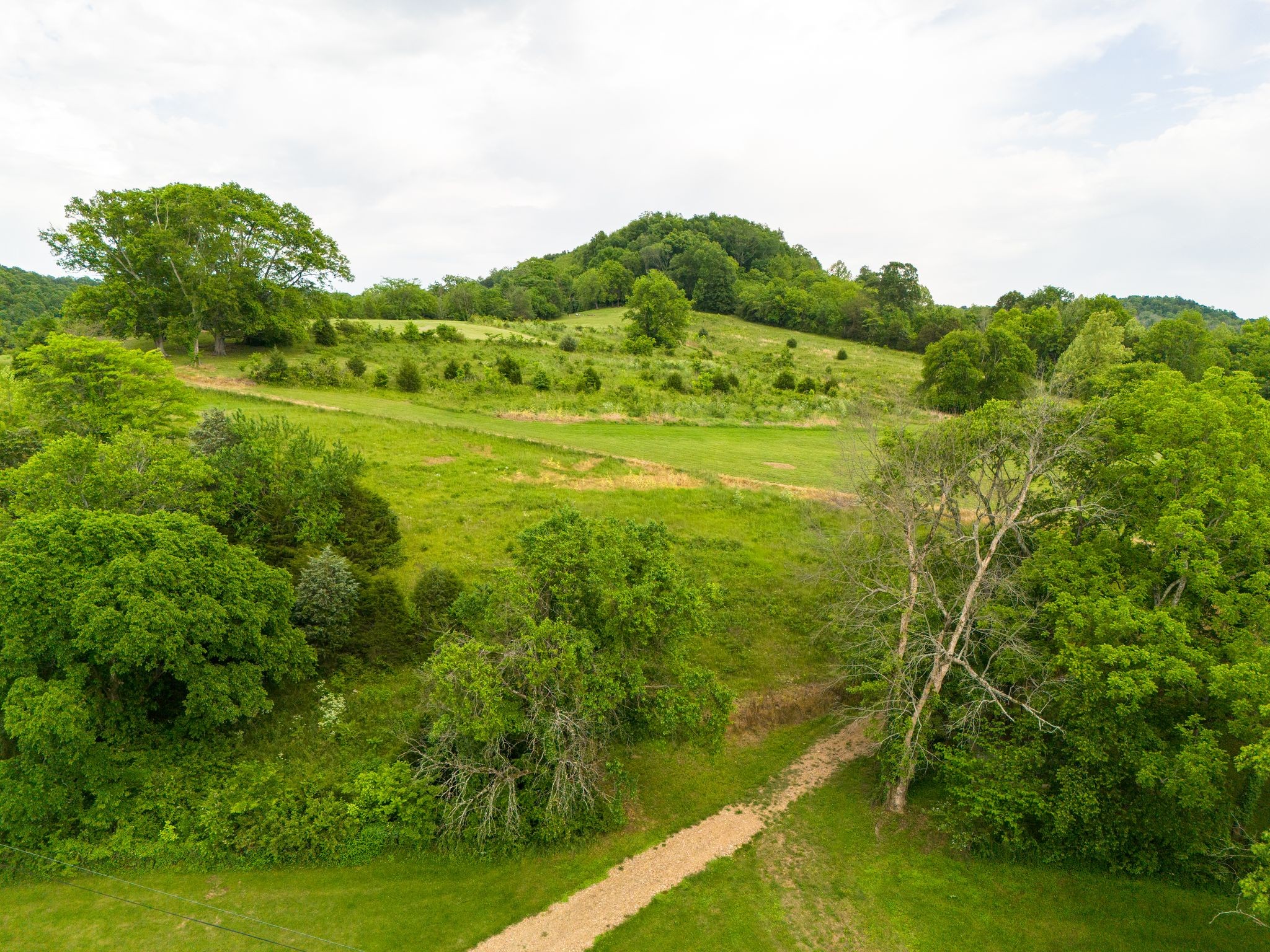 0 Taylors Store Road Hampshire, TN 38461 - Photo 7 of 44