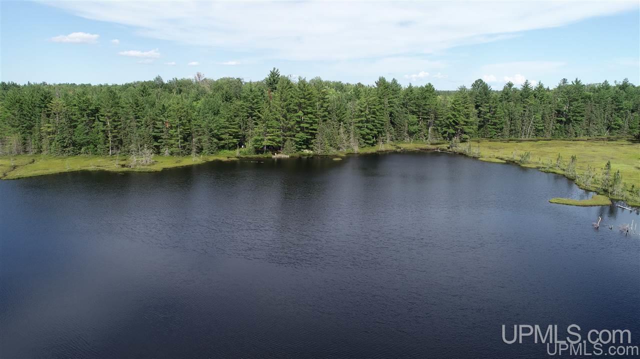 2804-acres Co Rd 442 McMillan, MI 49853 - Photo 15 of 48