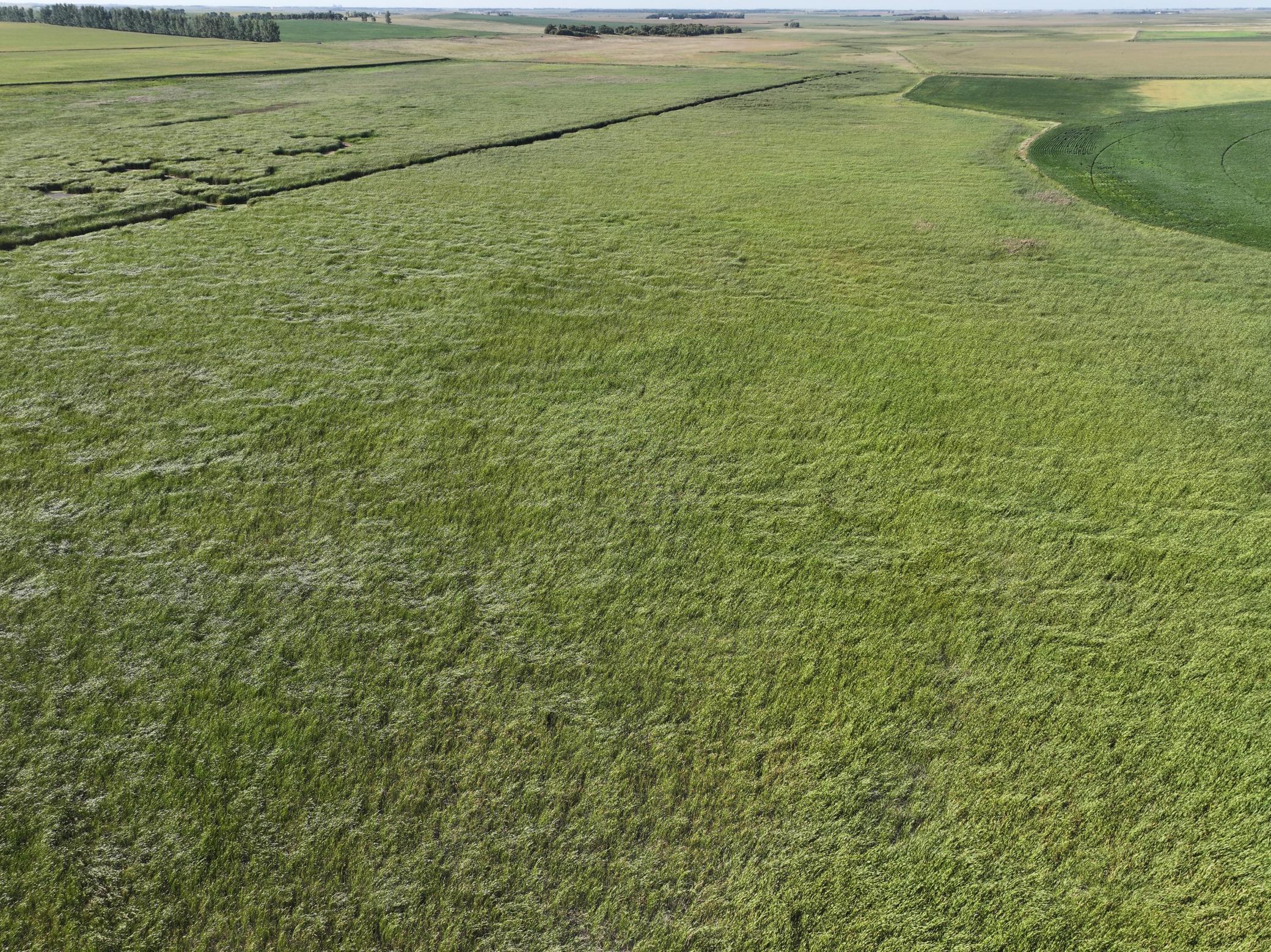 13 State Rte 13 Stirum, ND 58069 - Photo 26 of 31 Gallery Image 26