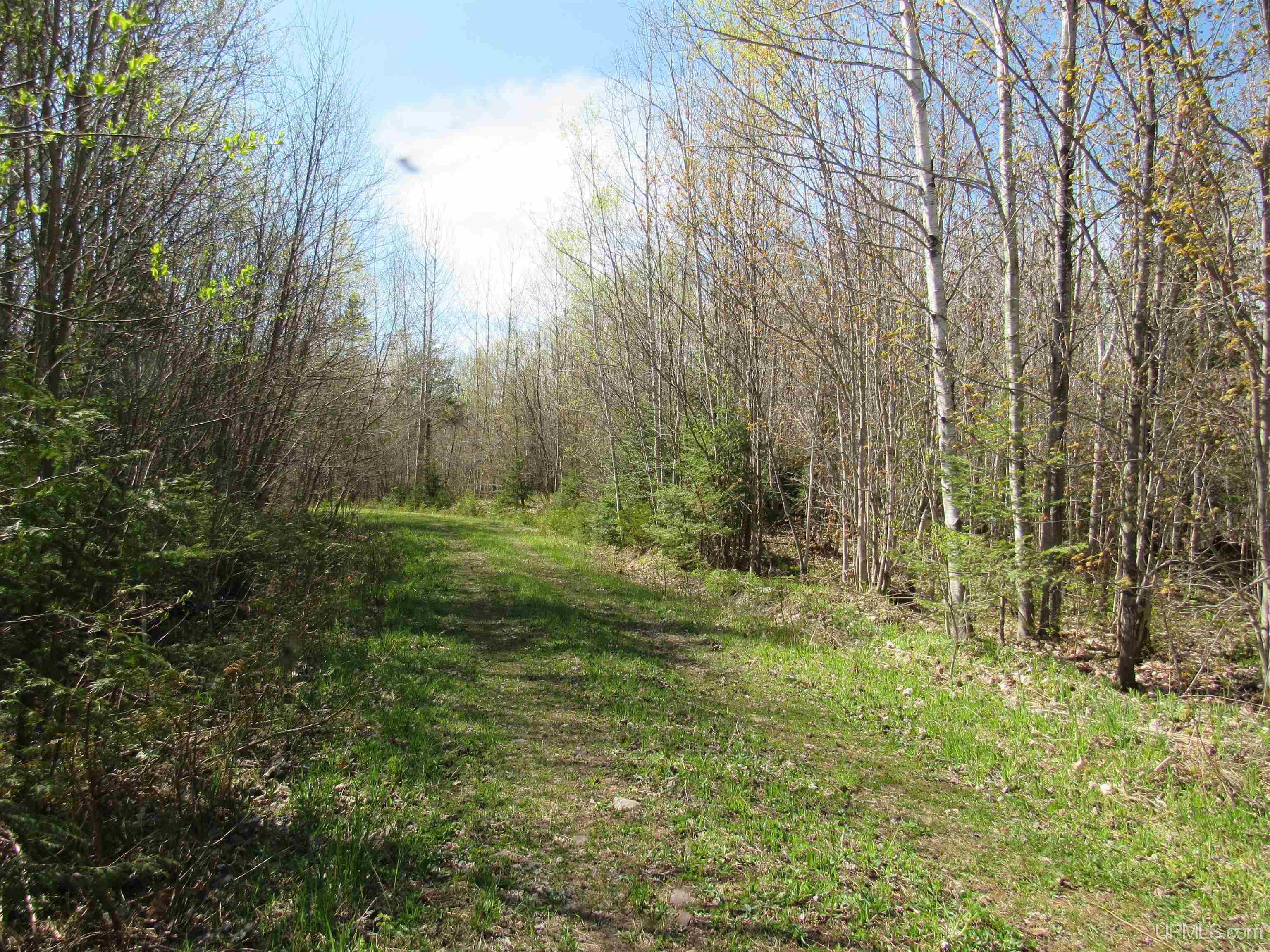 Tbd Off Rice Lake Road, Unit NO DRIVE BYS Lake Linden, MI 49945 - Photo 22 of 40