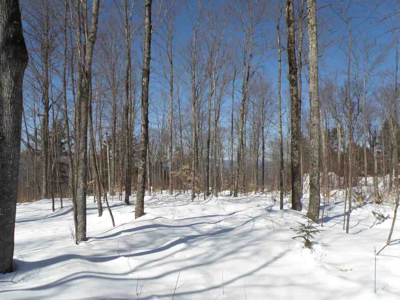 0 Mountain Road Moretown, VT 05660 - Photo 11 of 16