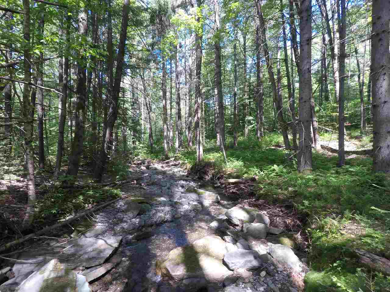 0 Mountain Road Moretown, VT 05660 - Photo 15 of 16