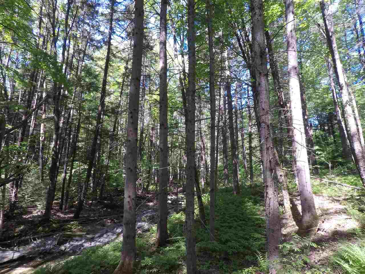 0 Mountain Road Moretown, VT 05660 - Photo 16 of 16