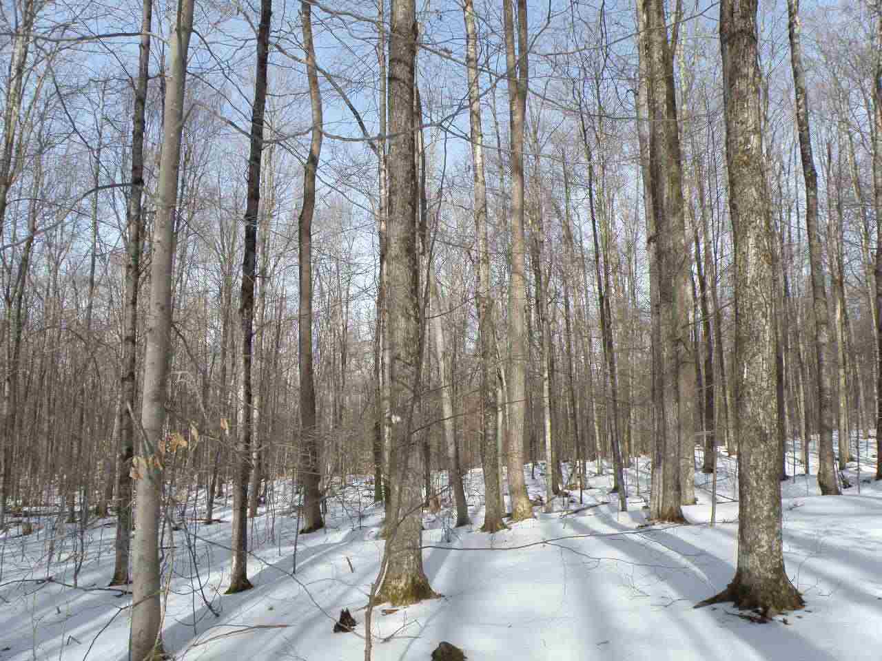 0 Mountain Road Moretown, VT 05660 - Photo 6 of 16