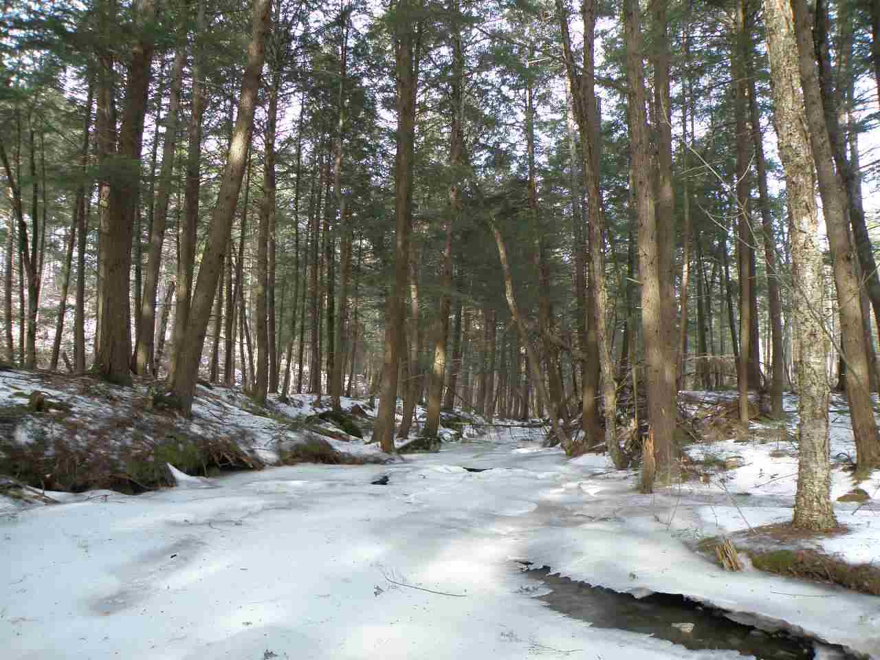 0 Mountain Road Moretown, VT 05660 - Photo 7 of 16