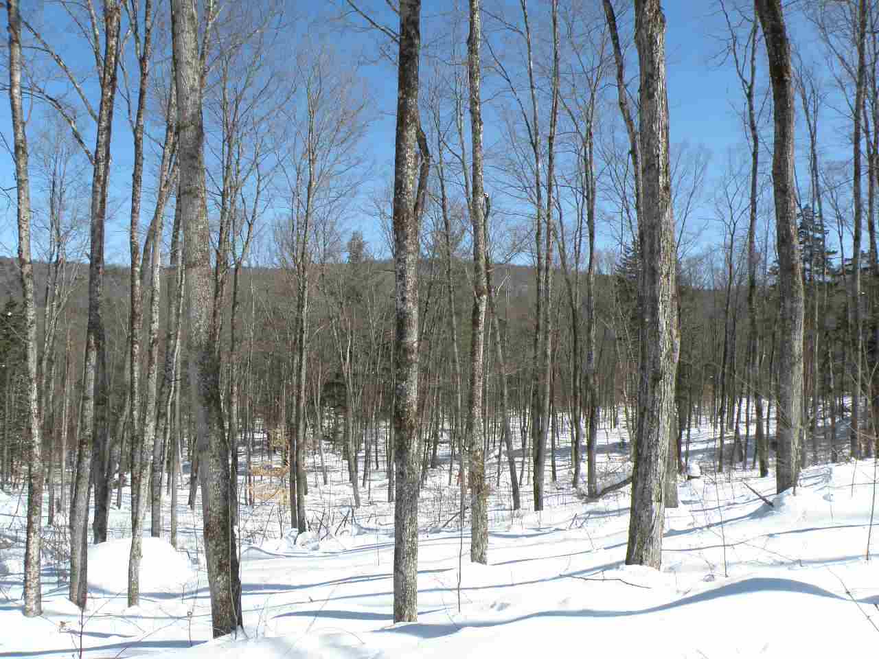 0 Mountain Road Moretown, VT 05660 - Photo 10 of 16