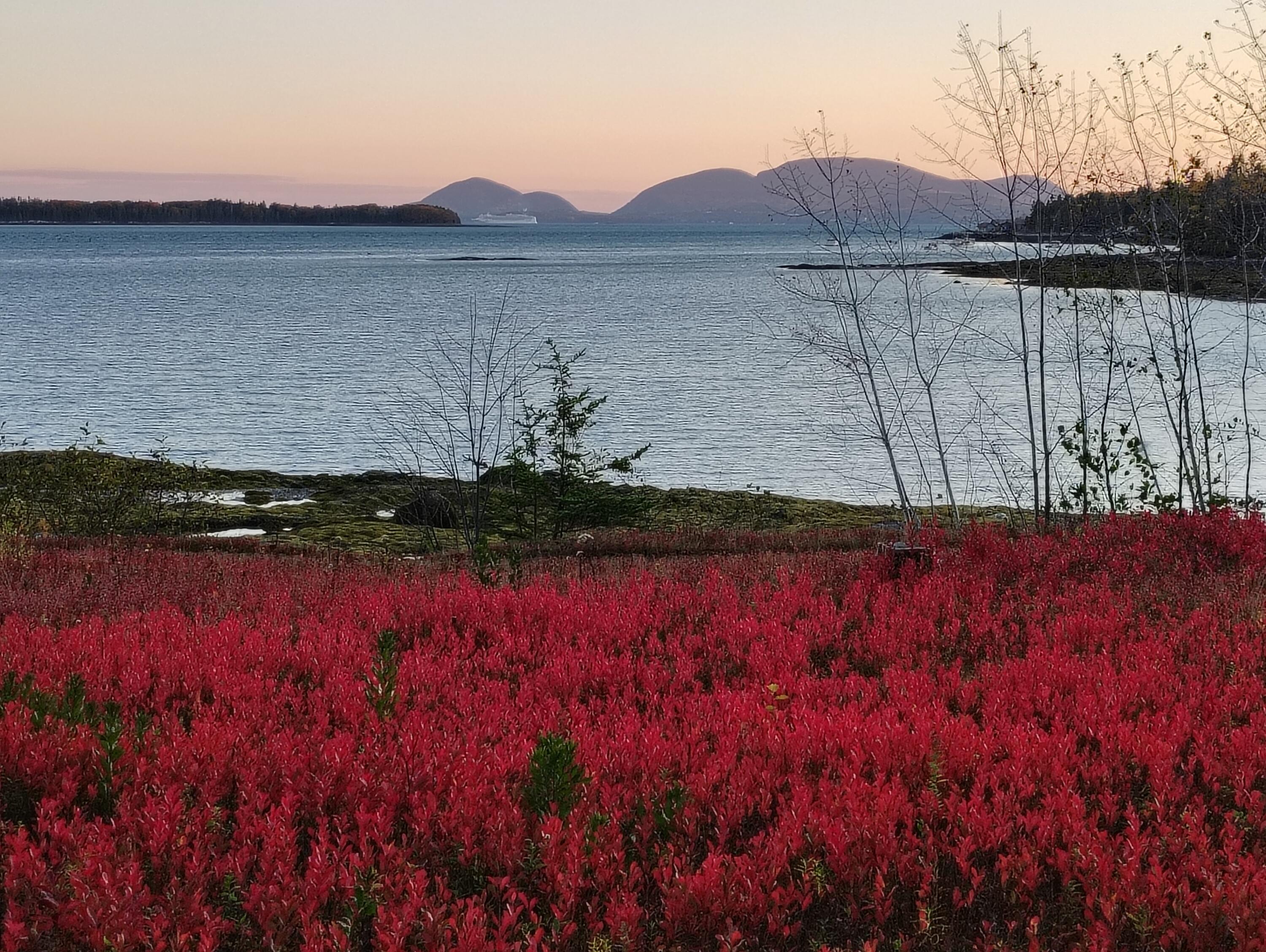 103 Gull Rock Road Hancock, ME 04640 - Photo 2 of 39 gull rock 7-1