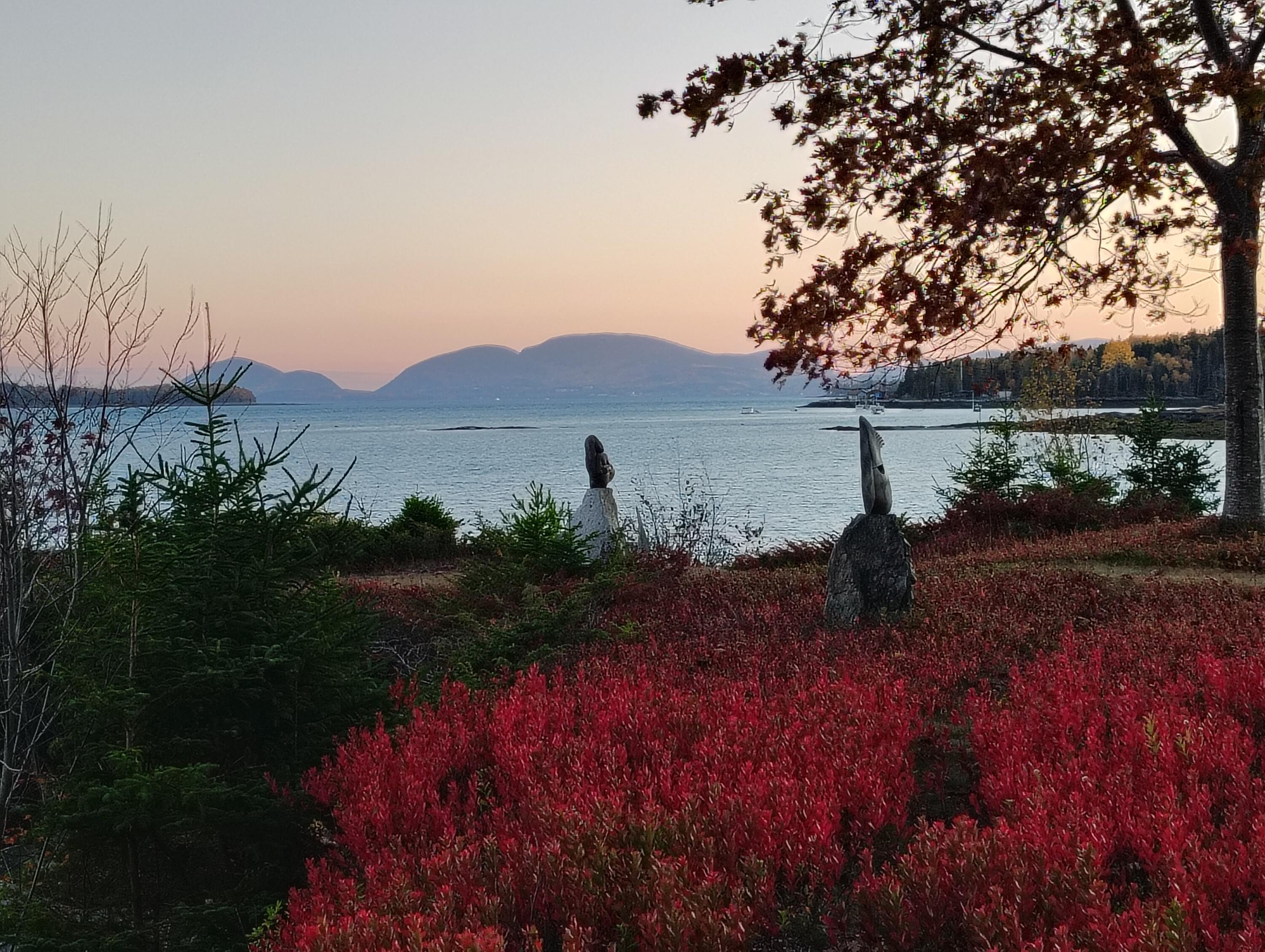 103 Gull Rock Road Hancock, ME 04640 - Photo 38 of 39 gull rock 6-1