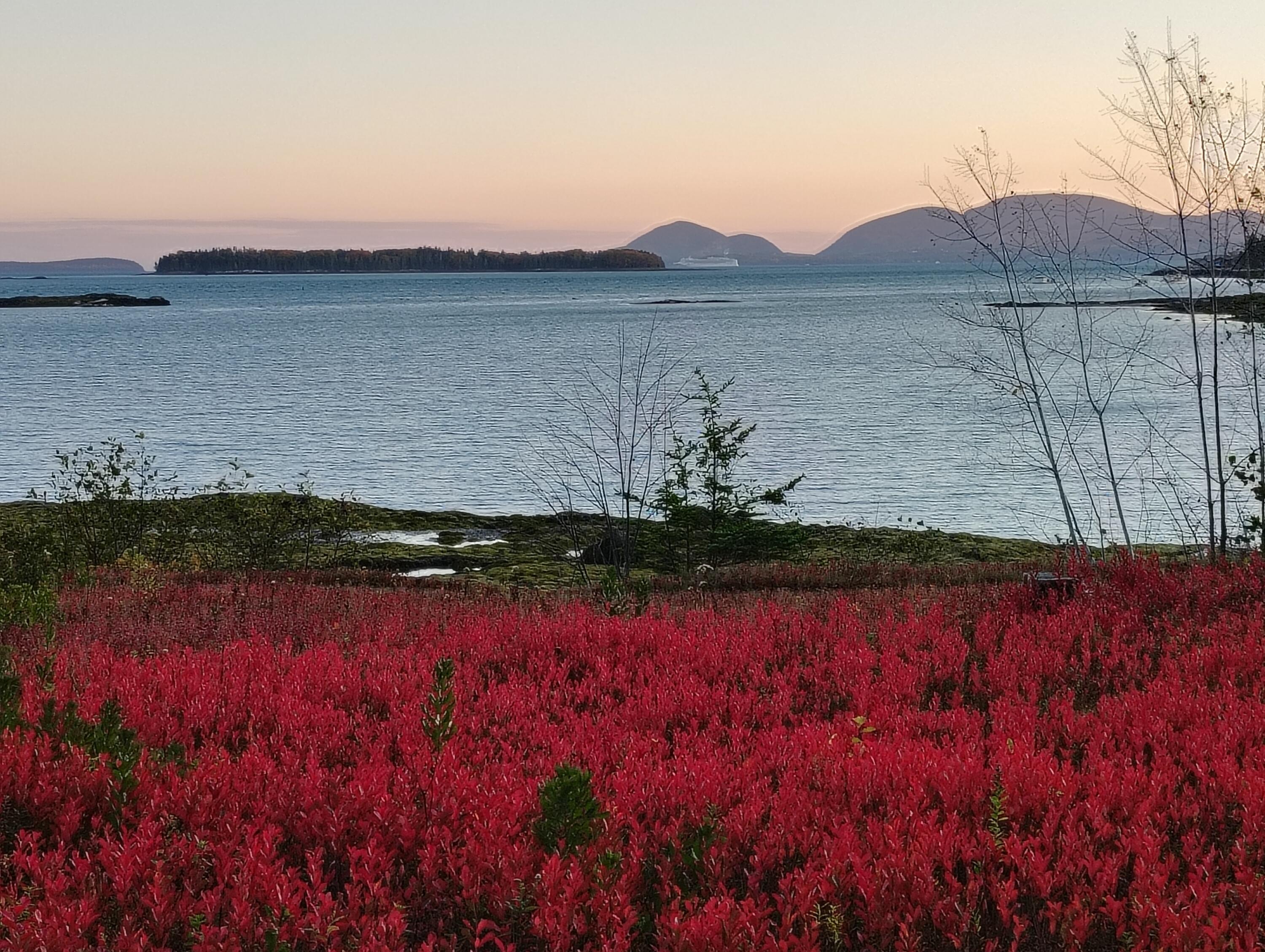 103 Gull Rock Road Hancock, ME 04640 - Photo 39 of 39 gull rock 1