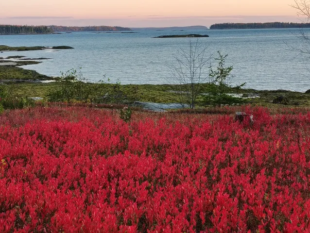 $2,200,000 | 103 Gull Rock Road, Hancock, ME 04640