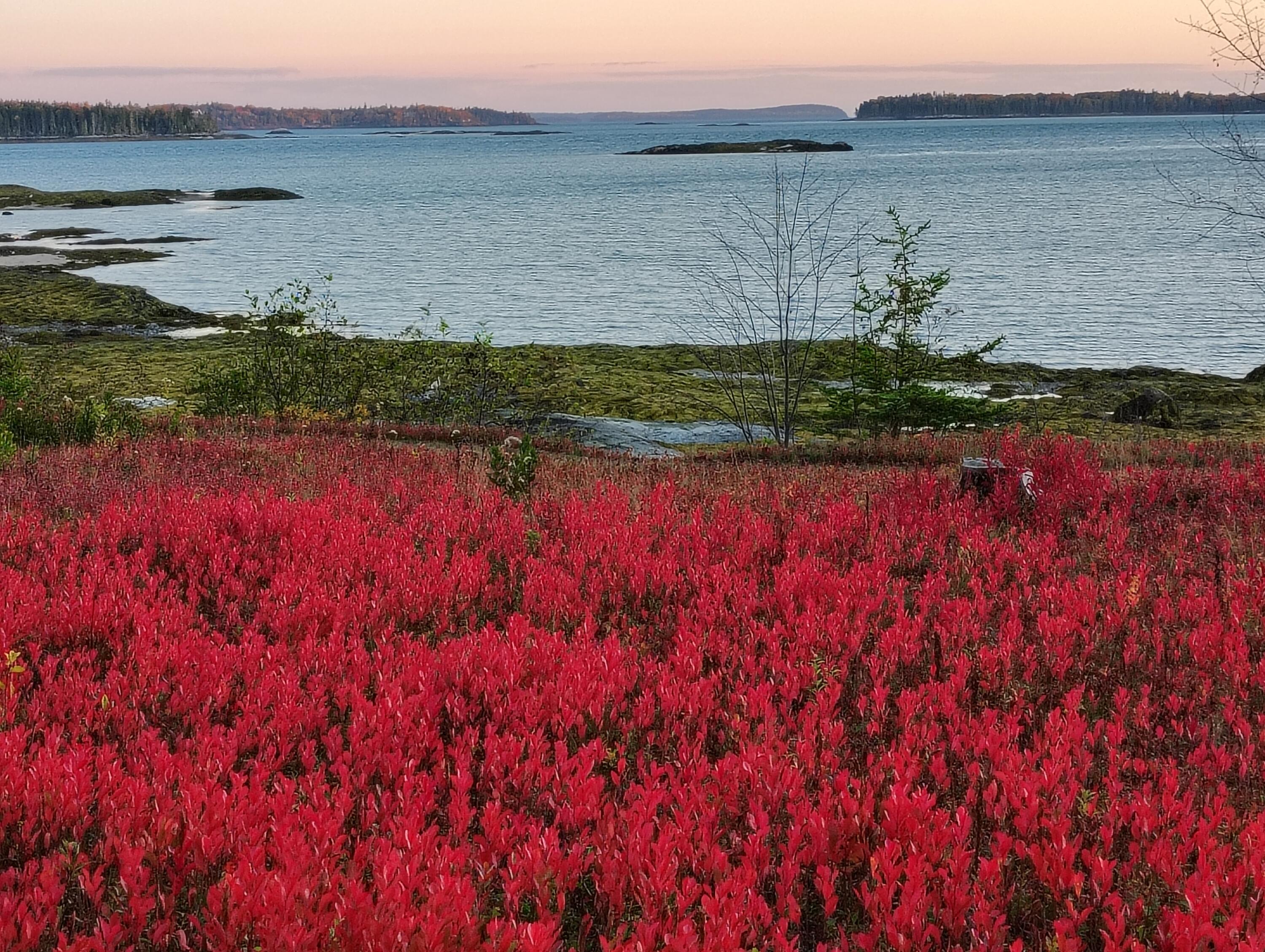 103 Gull Rock Road Hancock, ME 04640 - Photo 6 of 39 gull rock sorento