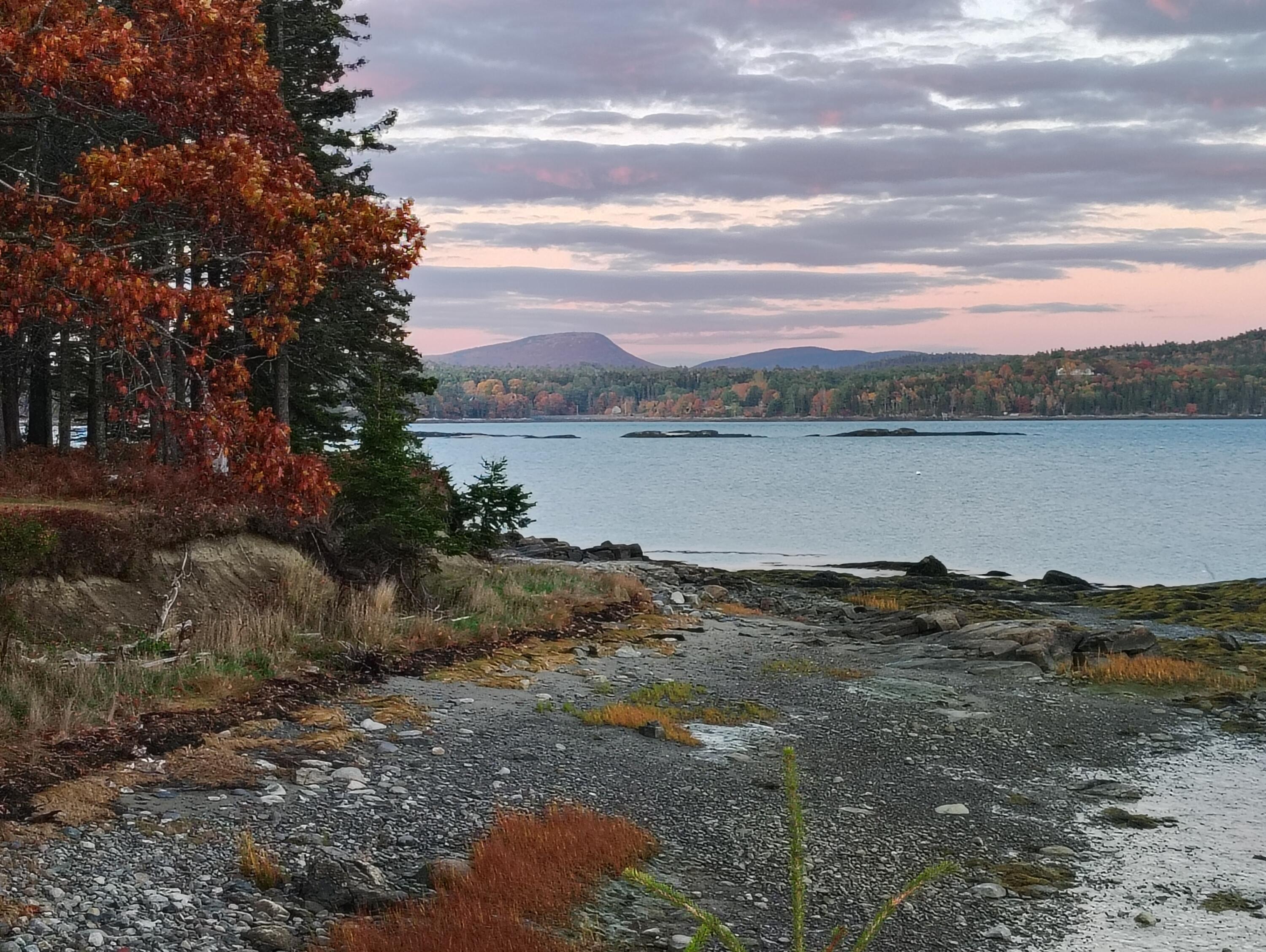 103 Gull Rock Road Hancock, ME 04640 - Photo 7 of 39 gull rock schoodic