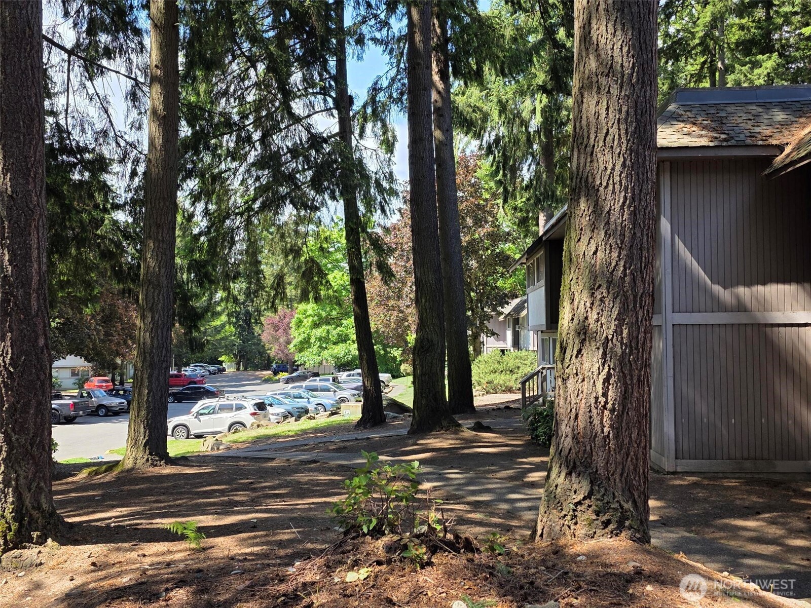 4520 Southwest 321st Street Federal Way, WA 98023 - Photo 6 of 11