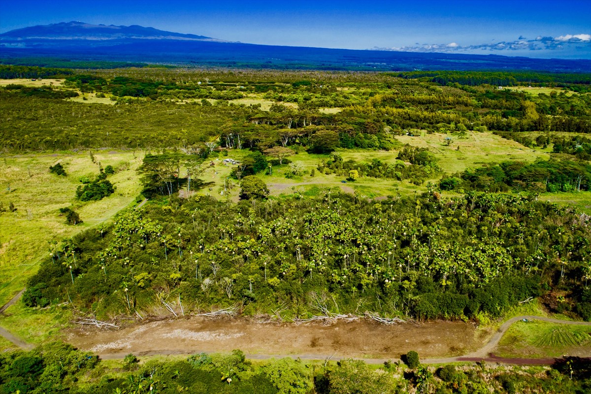 38 D Huina Road Mountain View, HI 96771 - Photo 1 of 9 Gallery Image 1