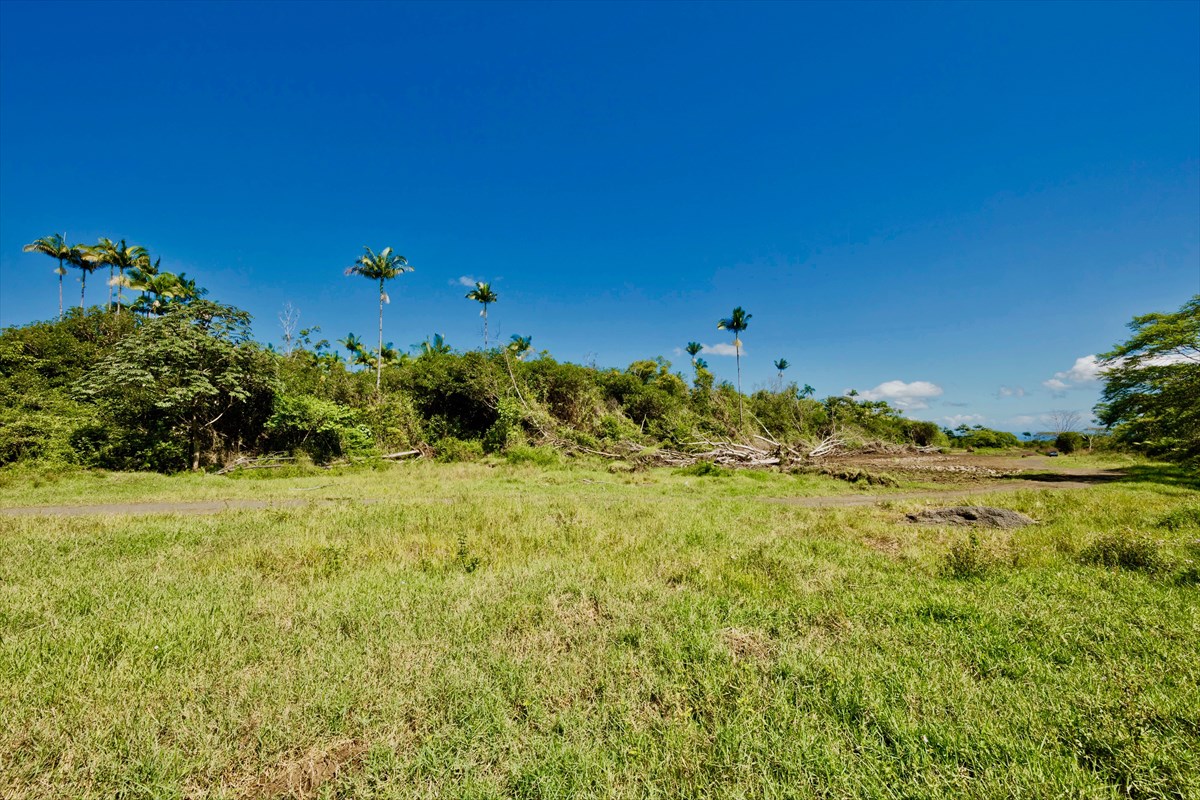 38 D Huina Road Mountain View, HI 96771 - Photo 2 of 9 Gallery Image 2