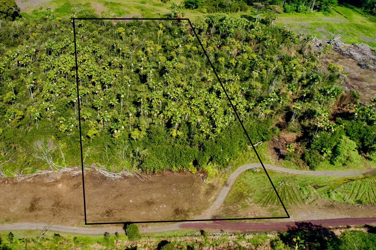 38 D Huina Road Mountain View, HI 96771 - Photo 3 of 9 Gallery Image 3