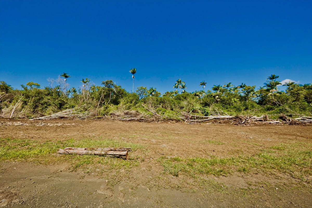 38 D Huina Road Mountain View, HI 96771 - Photo 6 of 9 Gallery Image 6