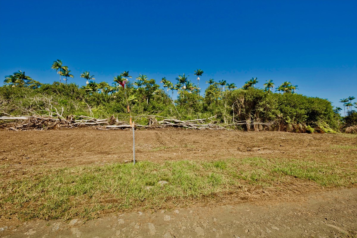 38 D Huina Road Mountain View, HI 96771 - Photo 7 of 9 Gallery Image 7
