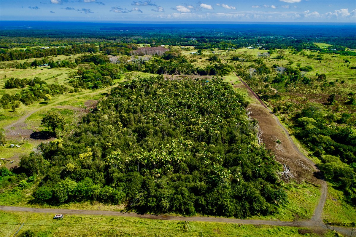 38 D Huina Road Mountain View, HI 96771 - Photo 9 of 9 Gallery Image 9