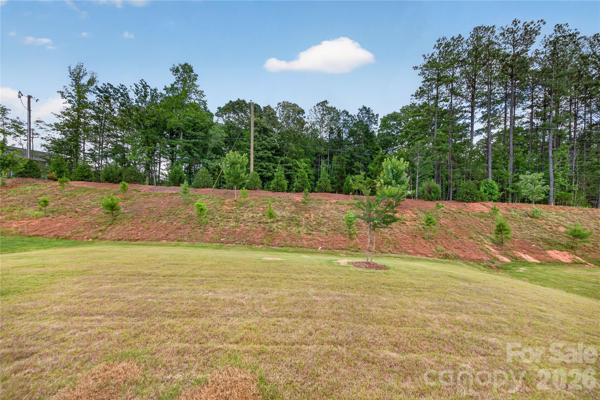 4790 Formation Court Lancaster, SC 29720 - Photo 41 of 43