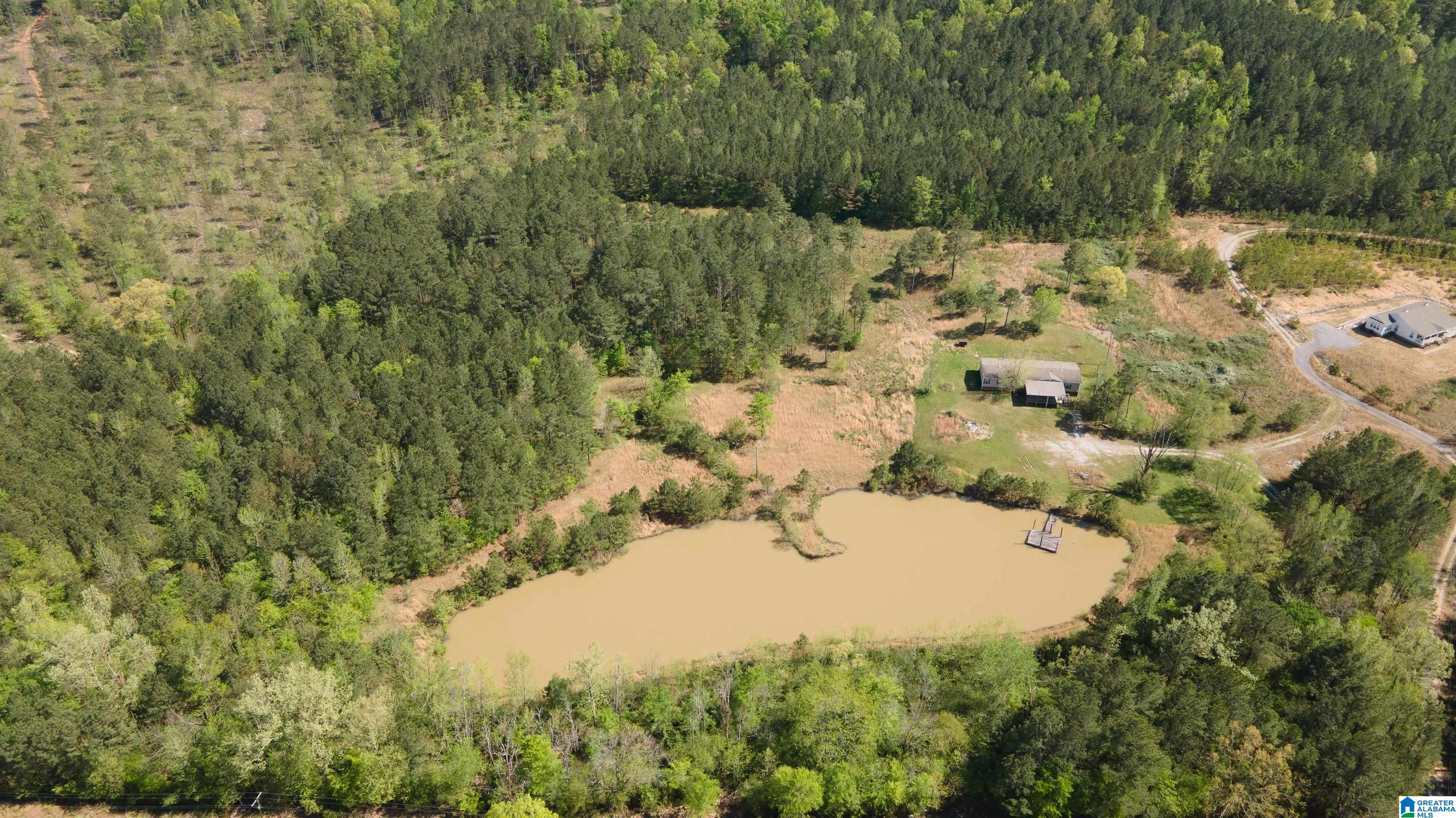 3554 Possum Trot Road Piedmont, AL 36272 - Photo 2 of 18