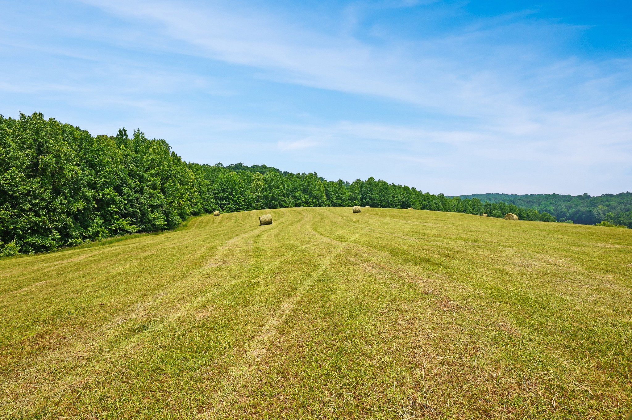 680 The Trace Dover, TN 37058 - Photo 1 of 43 a view of yard with ocean view
