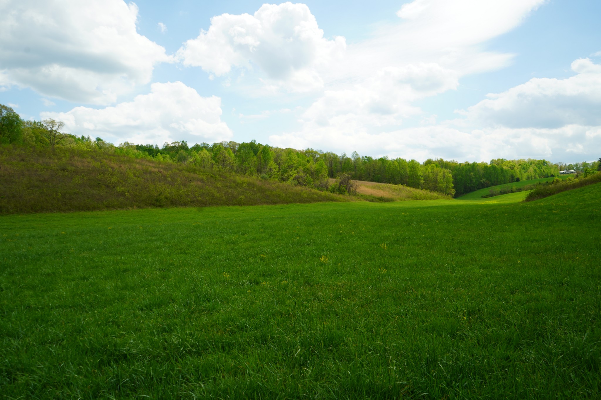 680 The Trace Dover, TN 37058 - Photo 14 of 43 a view of field with mountain view