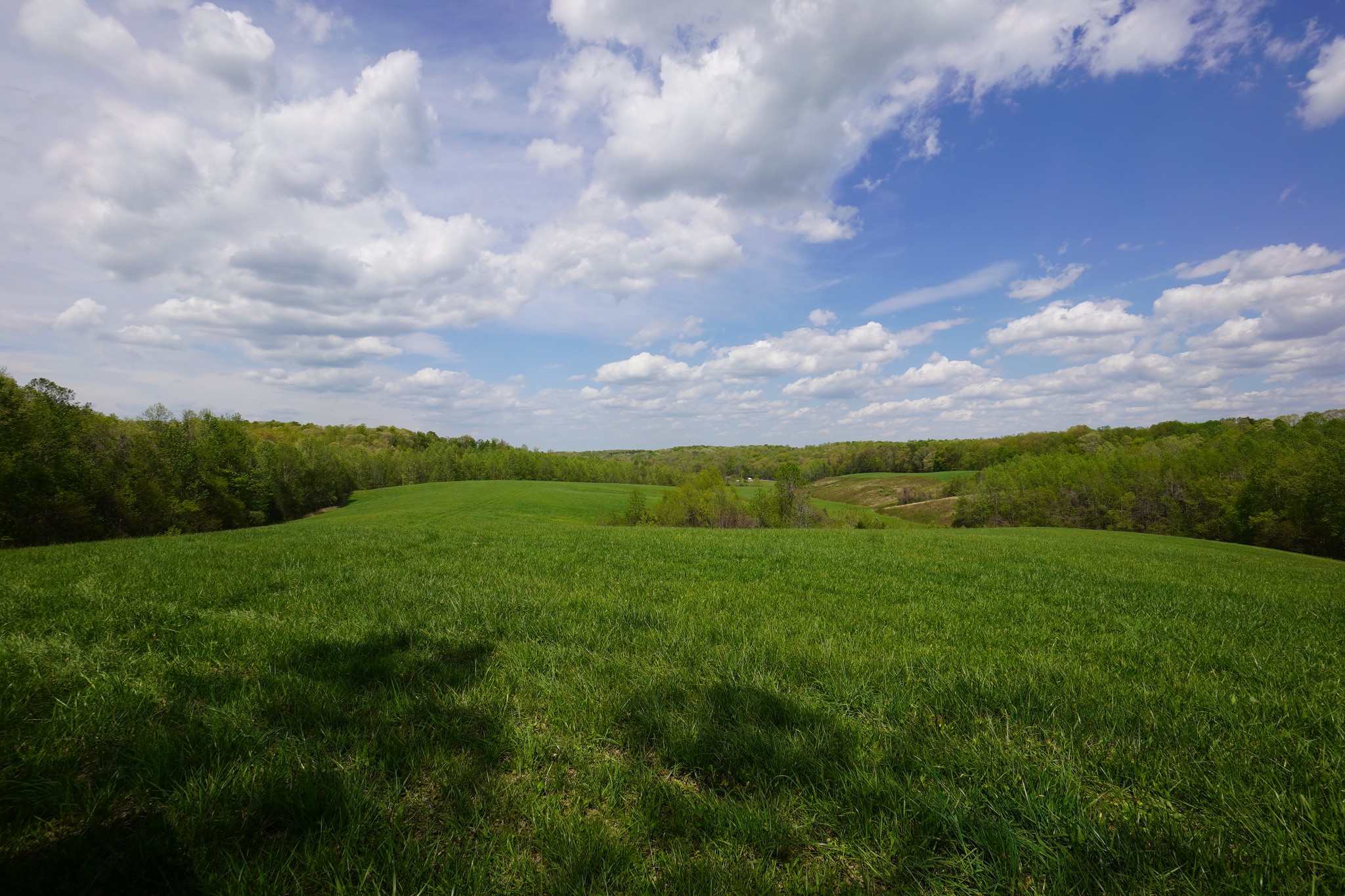 680 The Trace Dover, TN 37058 - Photo 16 of 43 a view of a green field with lots of green space