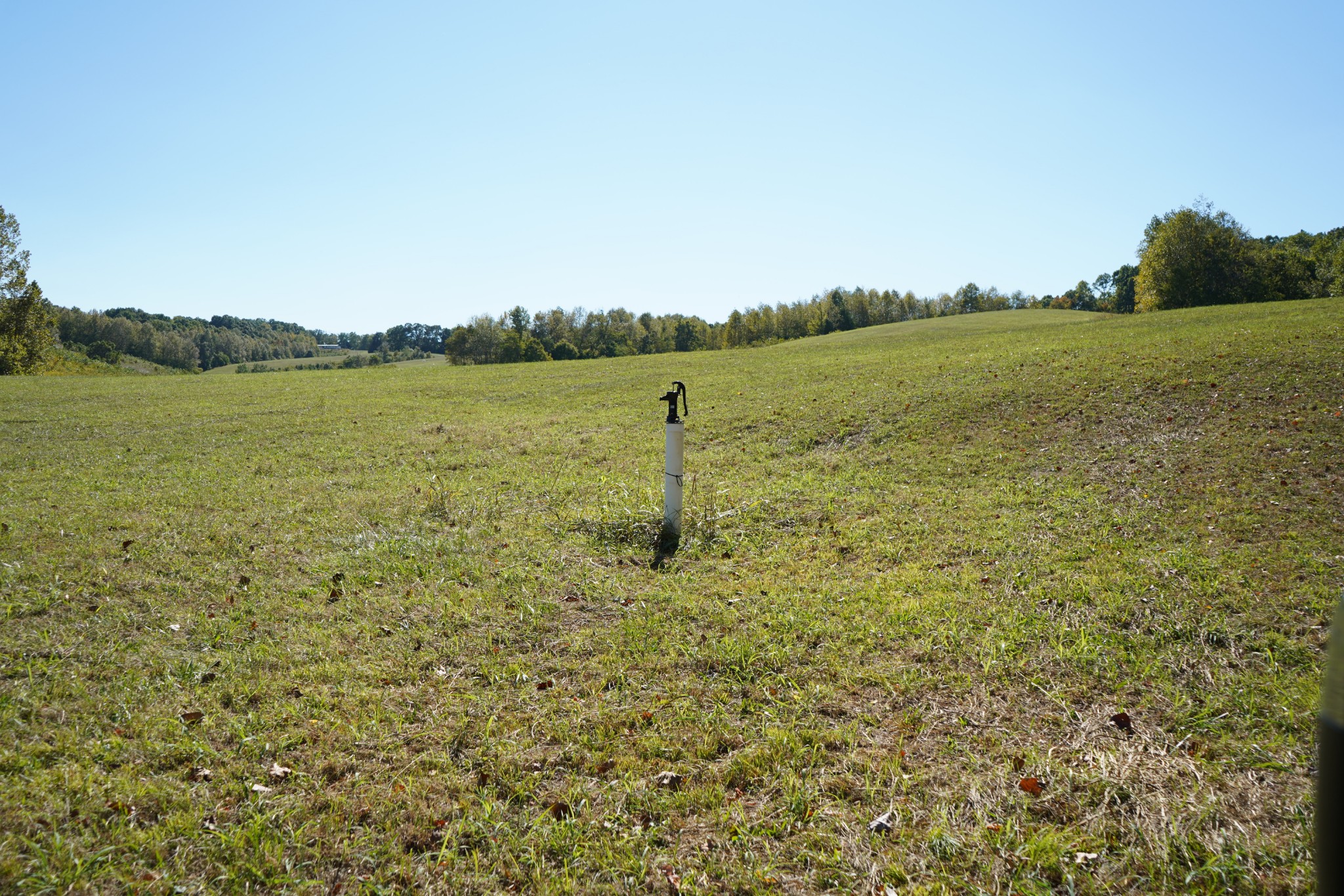 680 The Trace Dover, TN 37058 - Photo 17 of 43 a view of a lake with a big yard