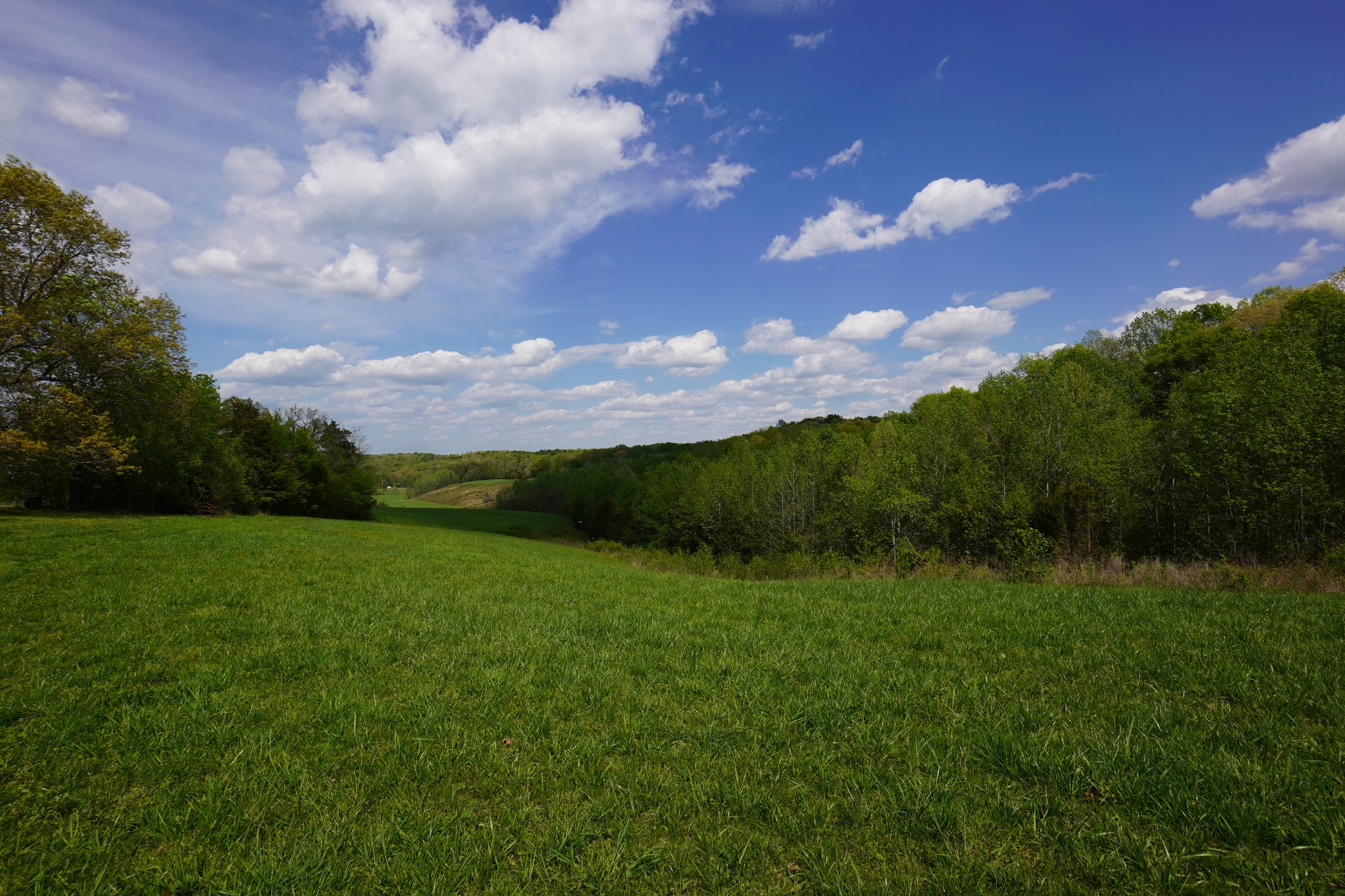 680 The Trace Dover, TN 37058 - Photo 18 of 43 a view of a lush green space