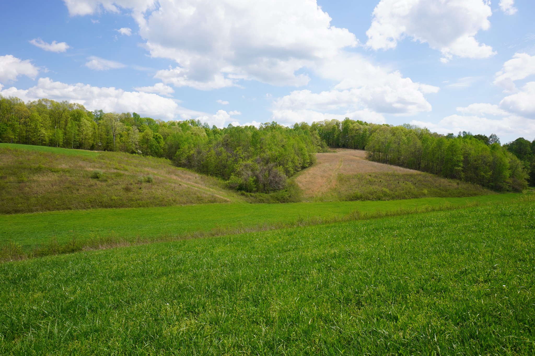 680 The Trace Dover, TN 37058 - Photo 19 of 43 a view of an outdoor space and yard