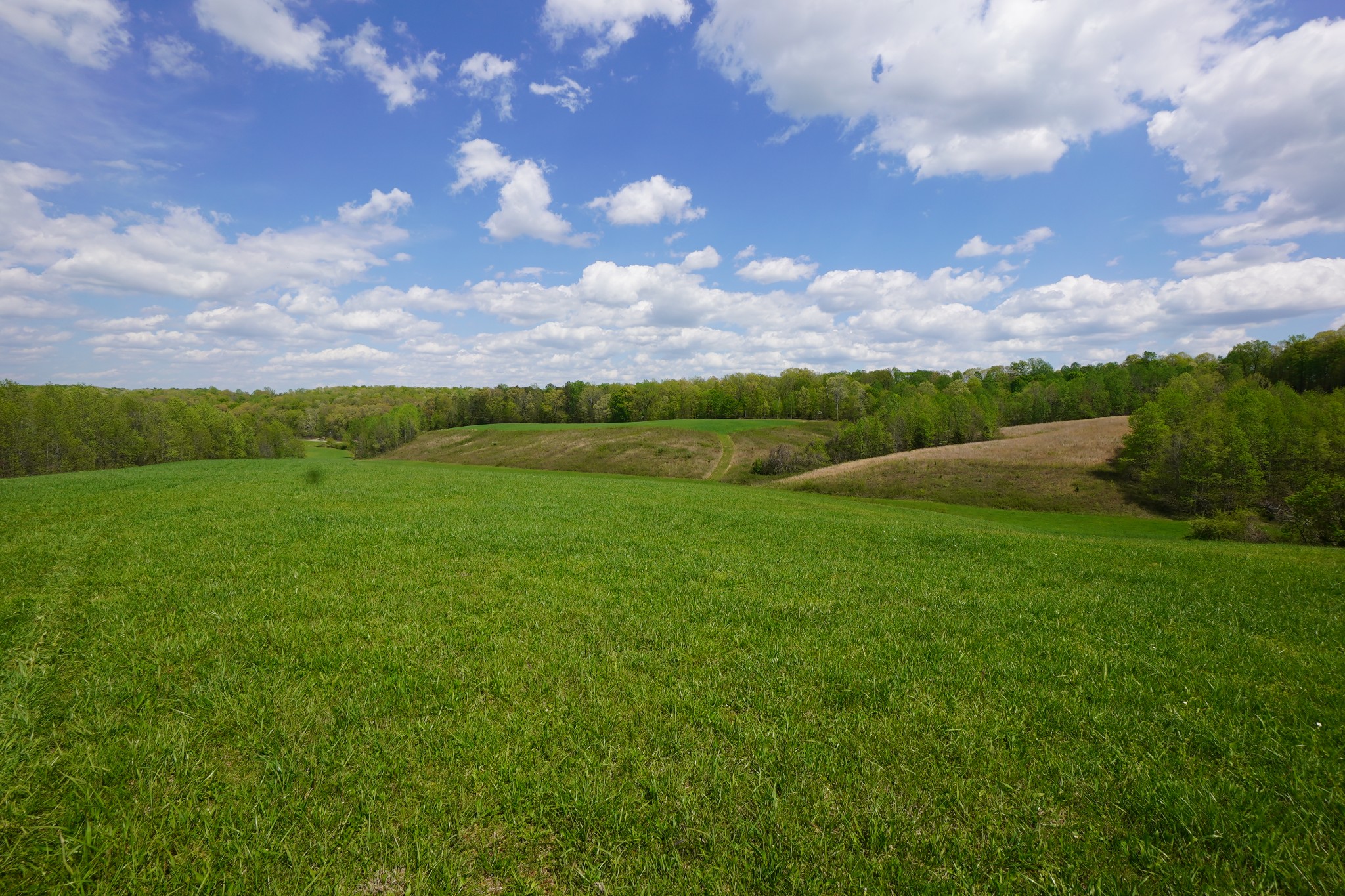 680 The Trace Dover, TN 37058 - Photo 20 of 43 a view of an outdoor space and yard
