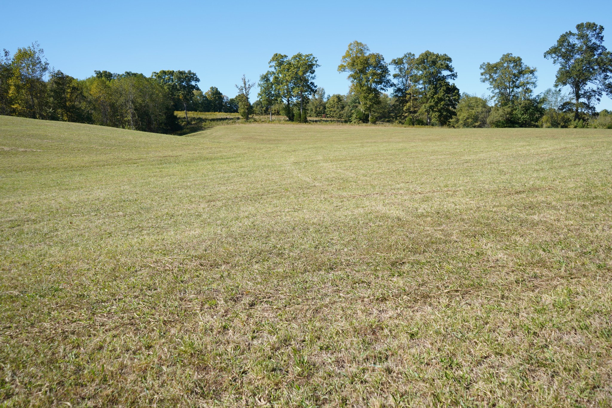 680 The Trace Dover, TN 37058 - Photo 23 of 43 a view of a field with an trees