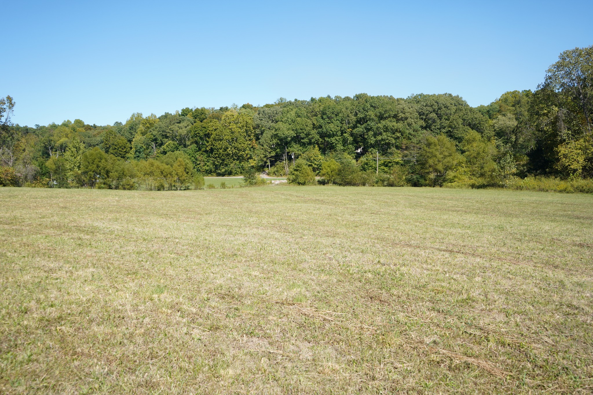 680 The Trace Dover, TN 37058 - Photo 24 of 43 a view of field with trees in background