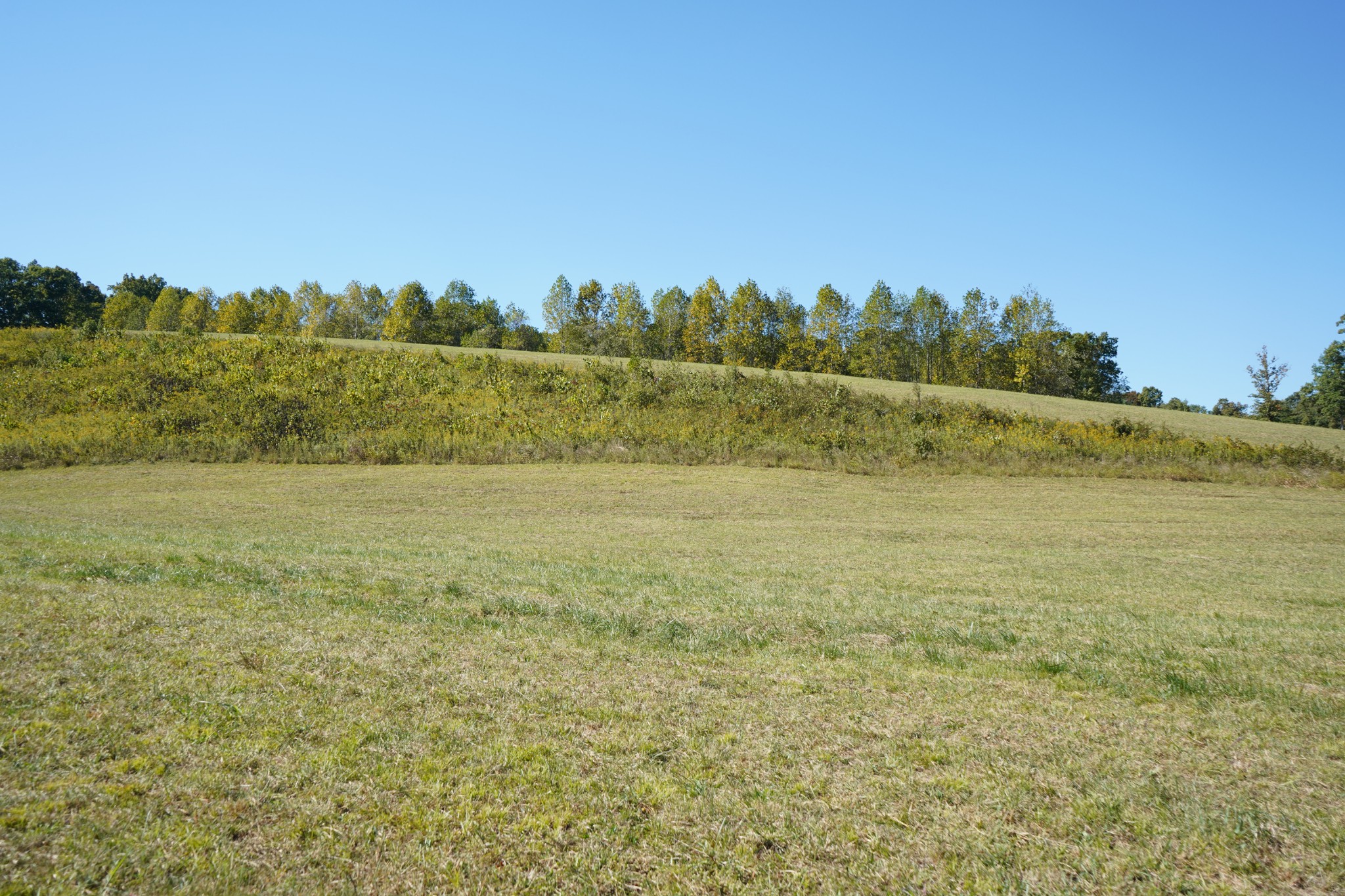 680 The Trace Dover, TN 37058 - Photo 27 of 43 a view of a field with an ocean