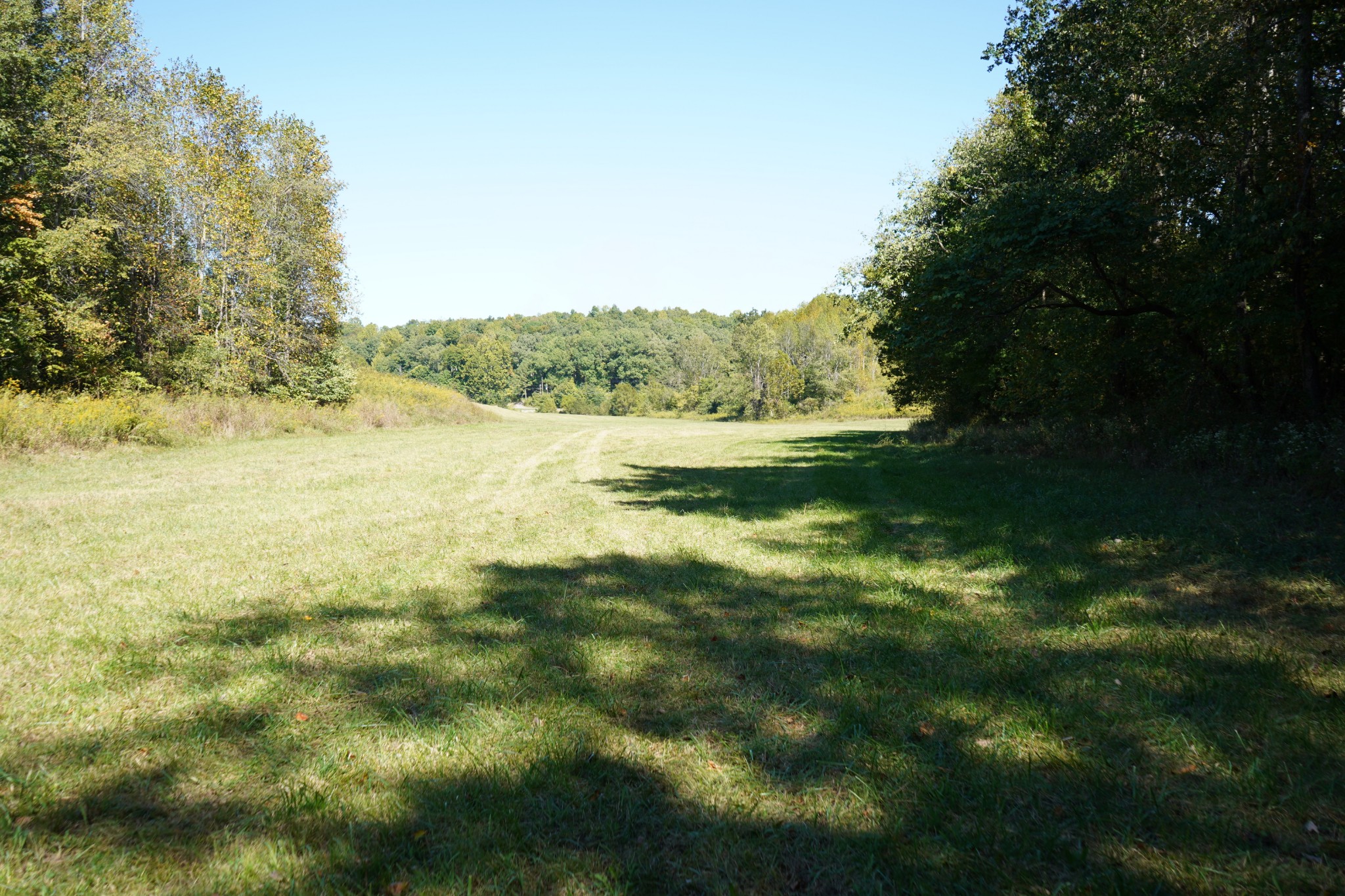 680 The Trace Dover, TN 37058 - Photo 28 of 43 a view of an outdoor space and a yard