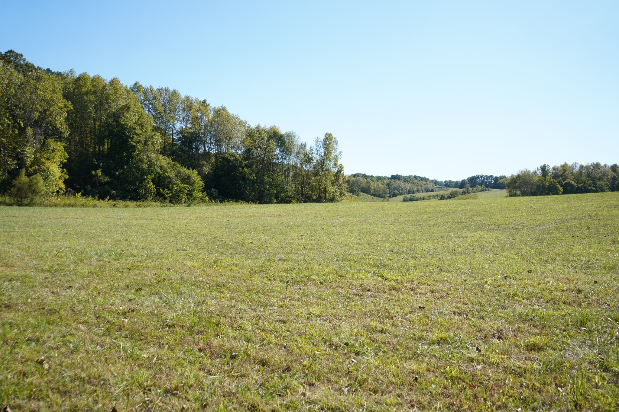 680 The Trace Dover, TN 37058 - Photo 29 of 43 a view of an ocean from a yard