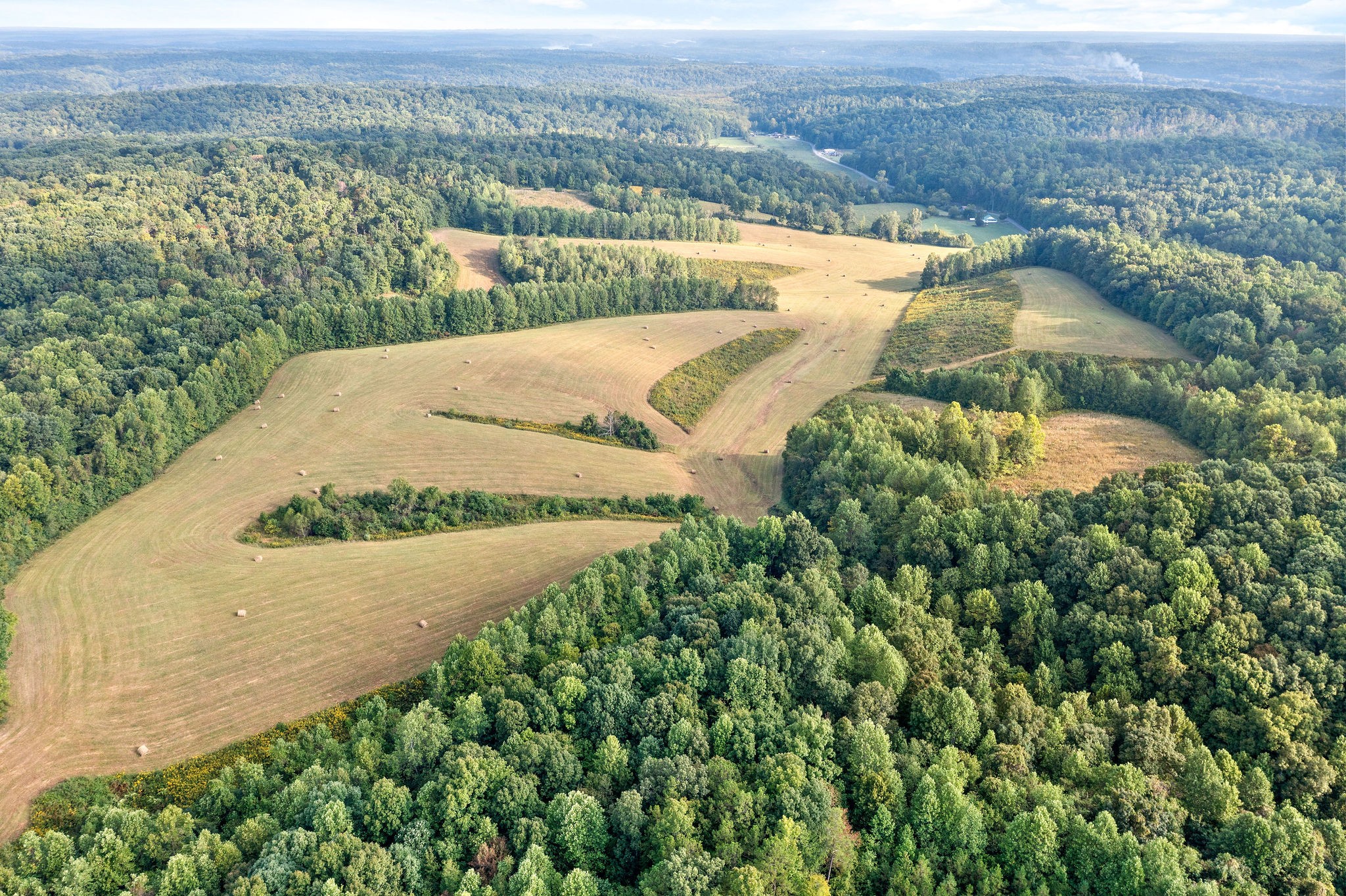 680 The Trace Dover, TN 37058 - Photo 30 of 43 an aerial view of a house with a yard and lake view