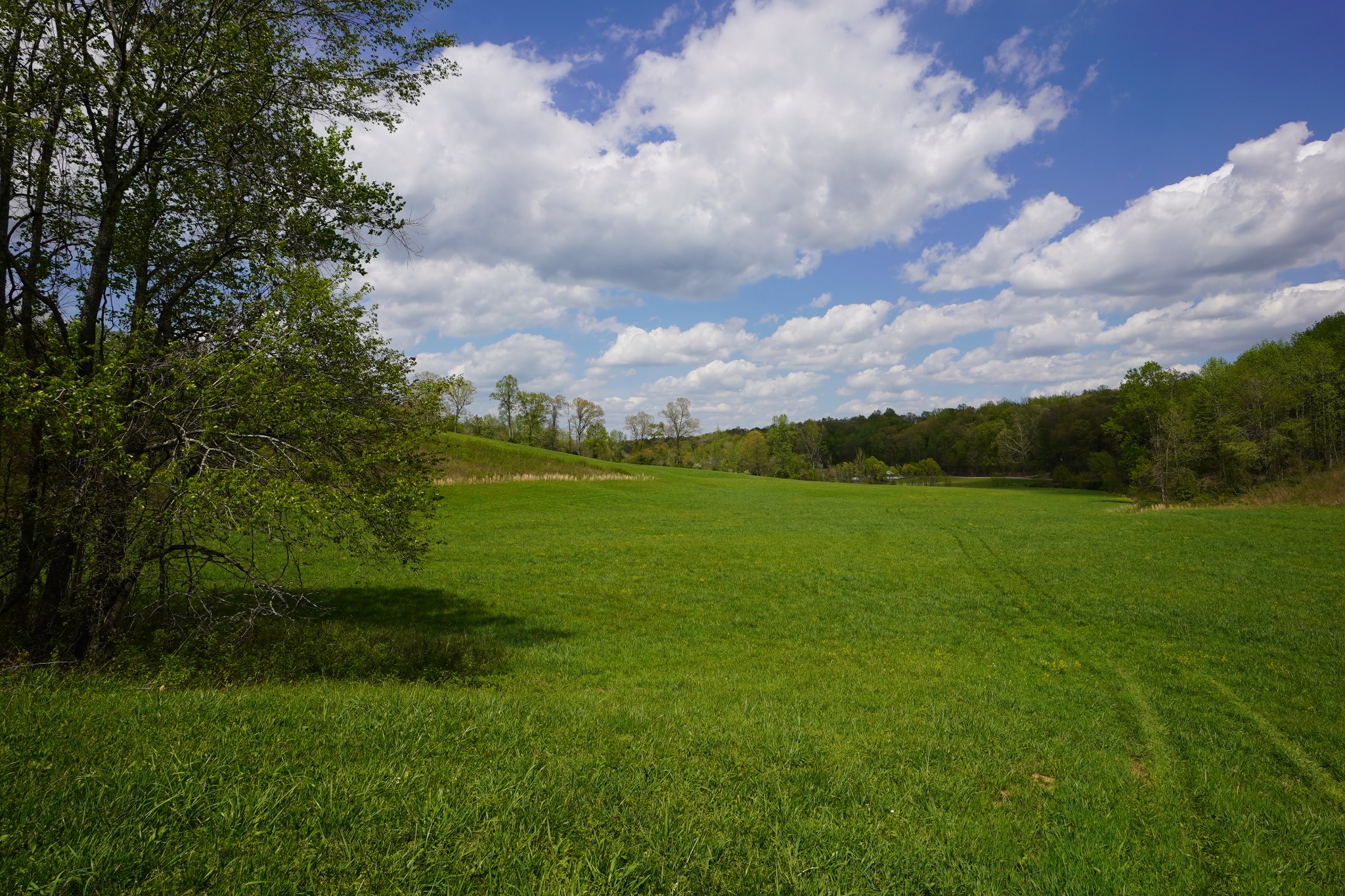680 The Trace Dover, TN 37058 - Photo 3 of 43 a view of a lake with a big yard