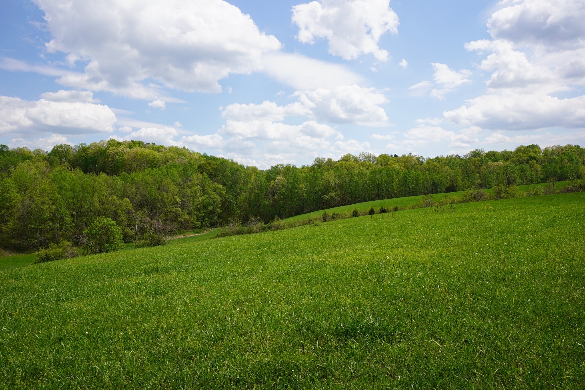 680 The Trace Dover, TN 37058 - Photo 40 of 43 a view of an outdoor space and a yard