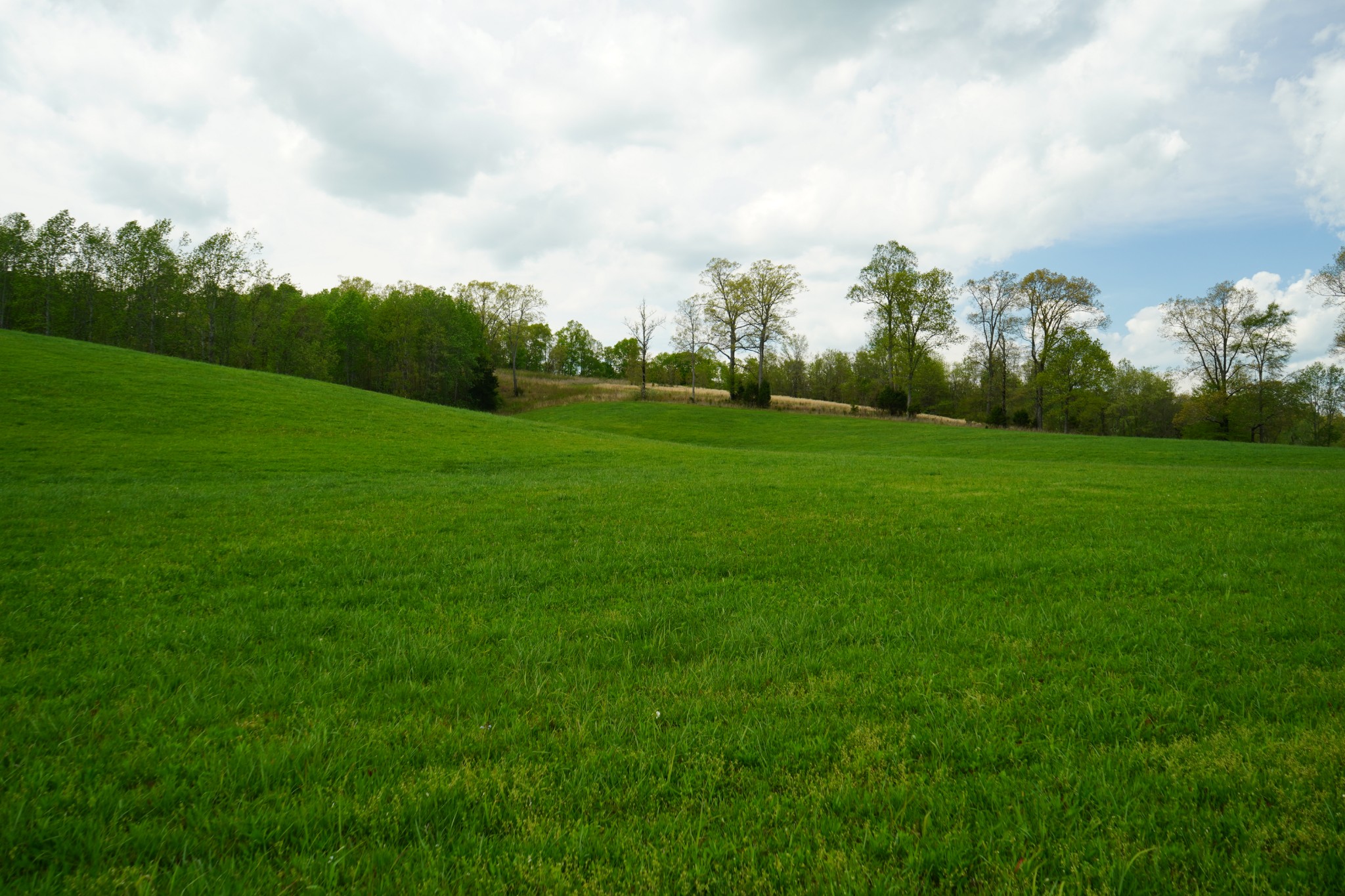 680 The Trace Dover, TN 37058 - Photo 4 of 43 a view of a grassy field