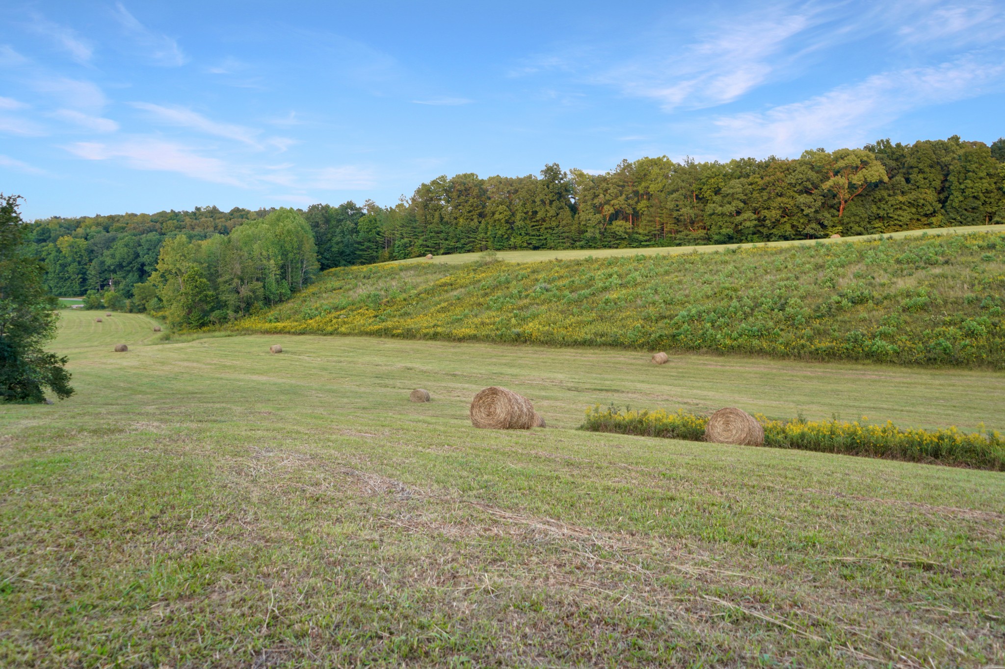 680 The Trace Dover, TN 37058 - Photo 5 of 43 a view of a lake with a yard