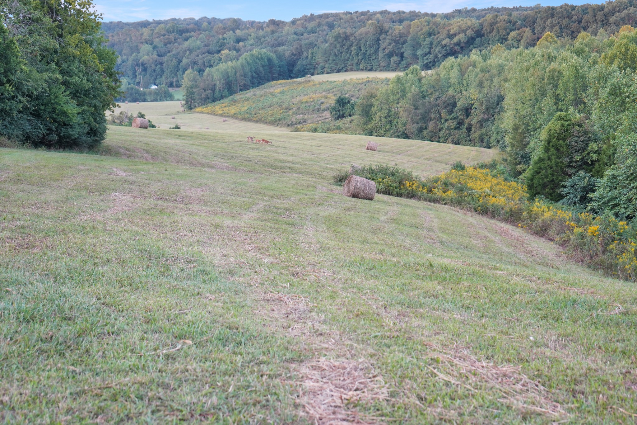 680 The Trace Dover, TN 37058 - Photo 6 of 43 a view of a dry field with mountain view